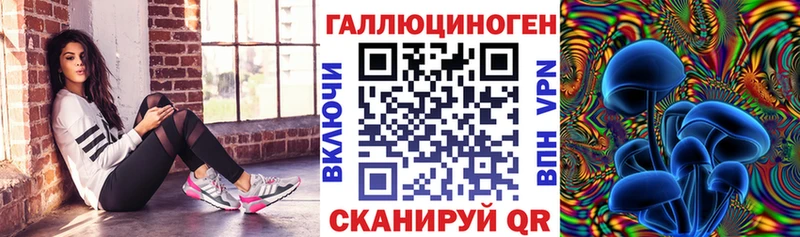 Псилоцибиновые грибы GOLDEN TEACHER  OMG онион  Камышин 