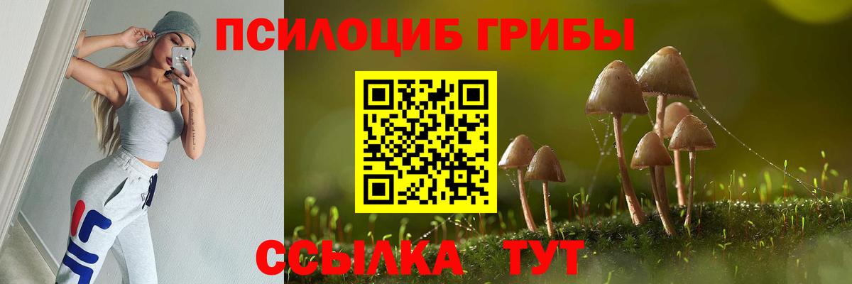 Псилоцибиновые грибы Psilocybe Камышин