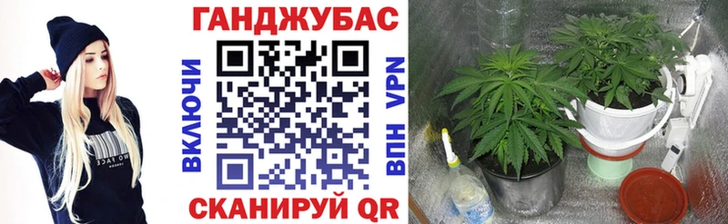 дарнет шоп  Камышин  Конопля марихуана 
